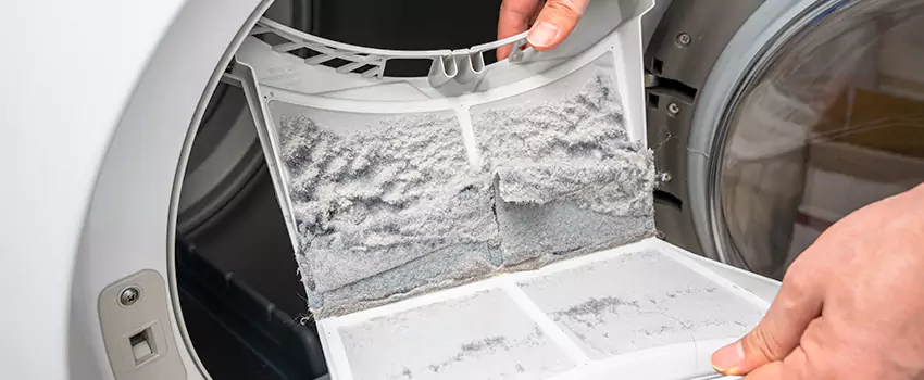 Best Dryer Lint Removal Company in New Smyrna Beach, Florida