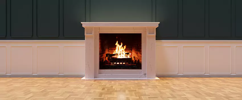 Napoleon Electric Fireplaces Inspection Service in New Smyrna Beach, Florida